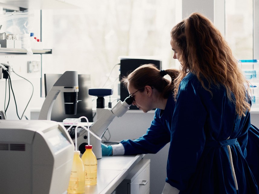 Zwei Forscherinnen schauen im Labor durch ein Mikroskop