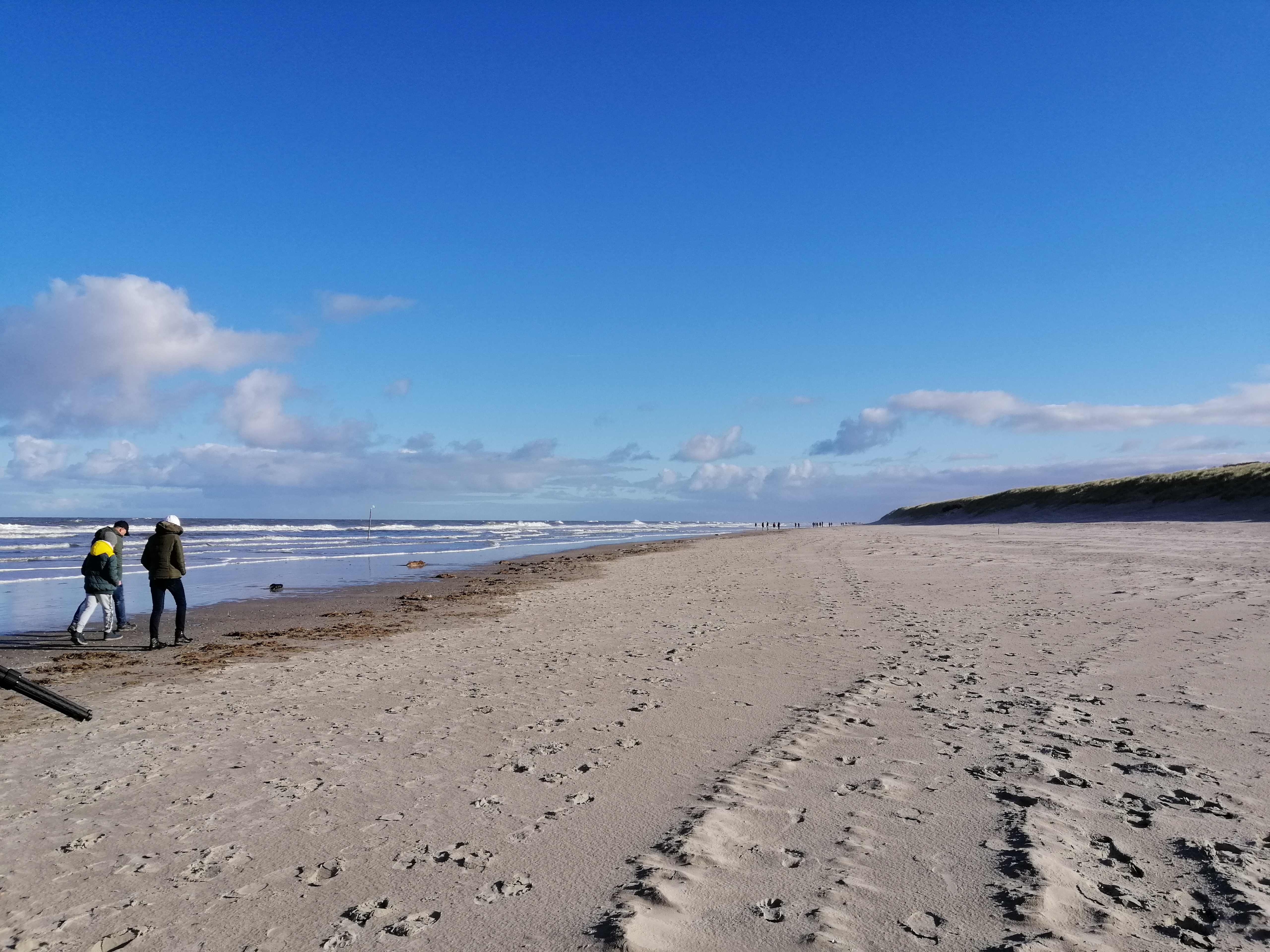 Wadden sea