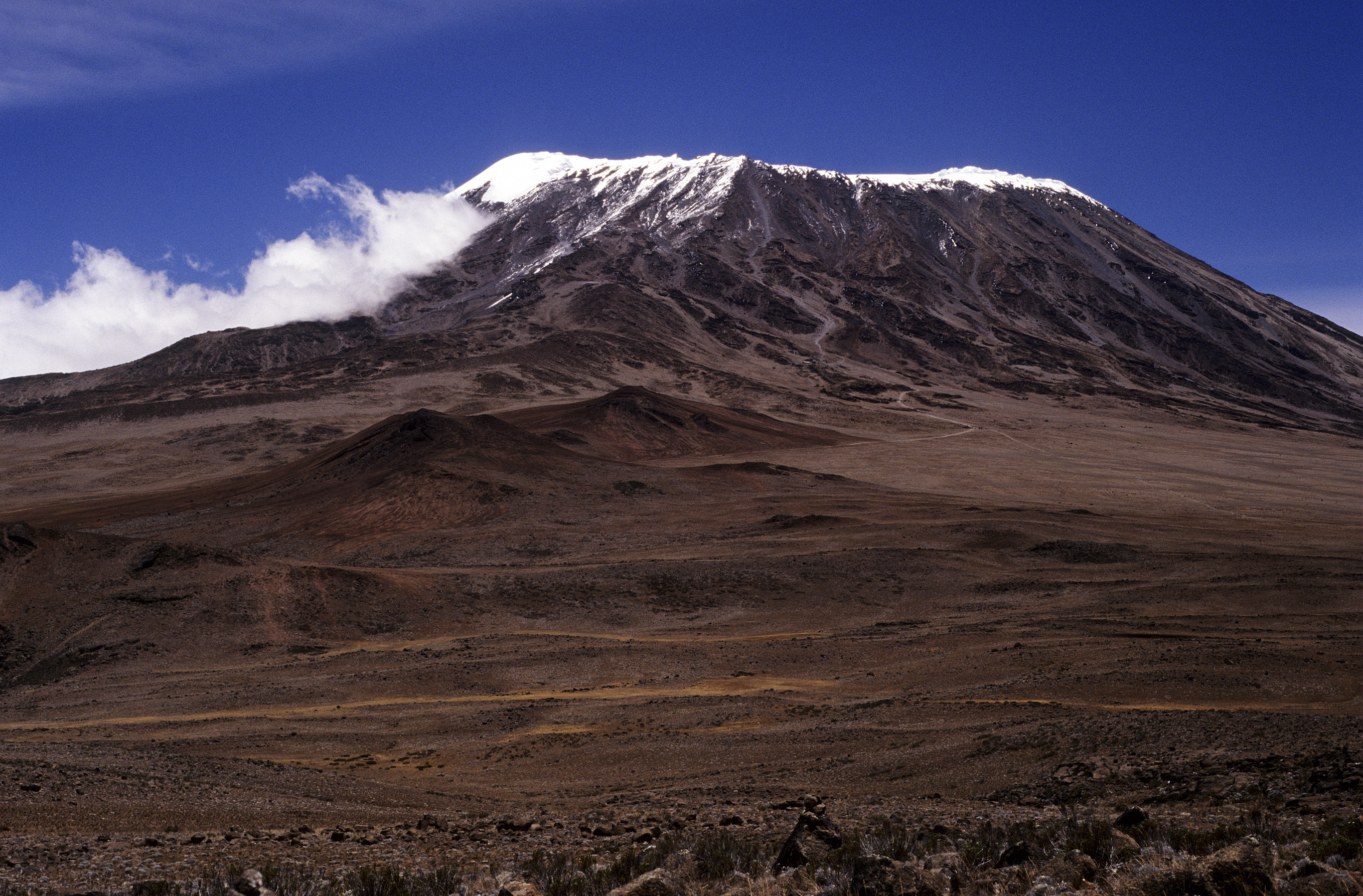 Kilimanjaro