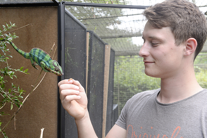 Arbeit mit Zootieren: Ausbildung Zootierpfleger