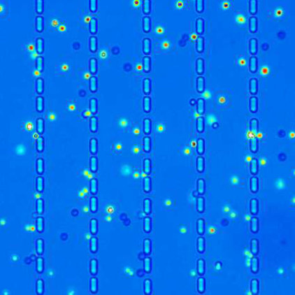 Microfluidik setup for absolute negative particle mobility / "Nature"  Volume. 436, August-18-2005