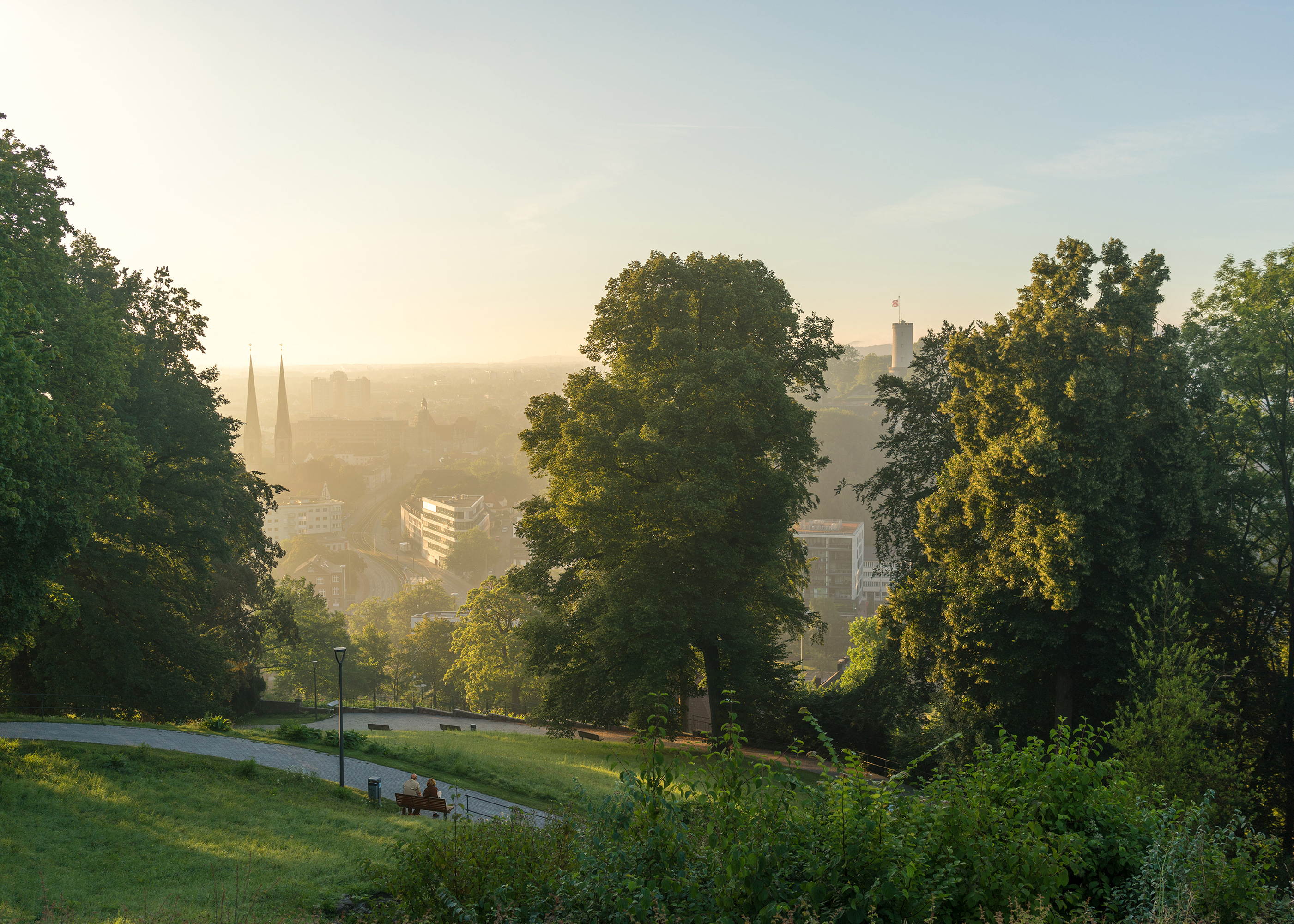 Sunrise in a green landscape