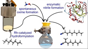 combined reaction