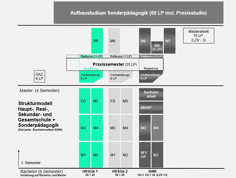 Aufbau des Studiums für das Lehramt an Haupt-, Real-, Sekundar- und Gesamtschulen mit integrierter Sonderpädagogik