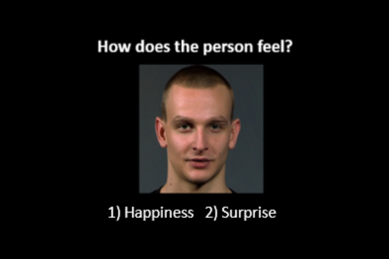 Der Berlin Emotion Recognition Test (BERT)