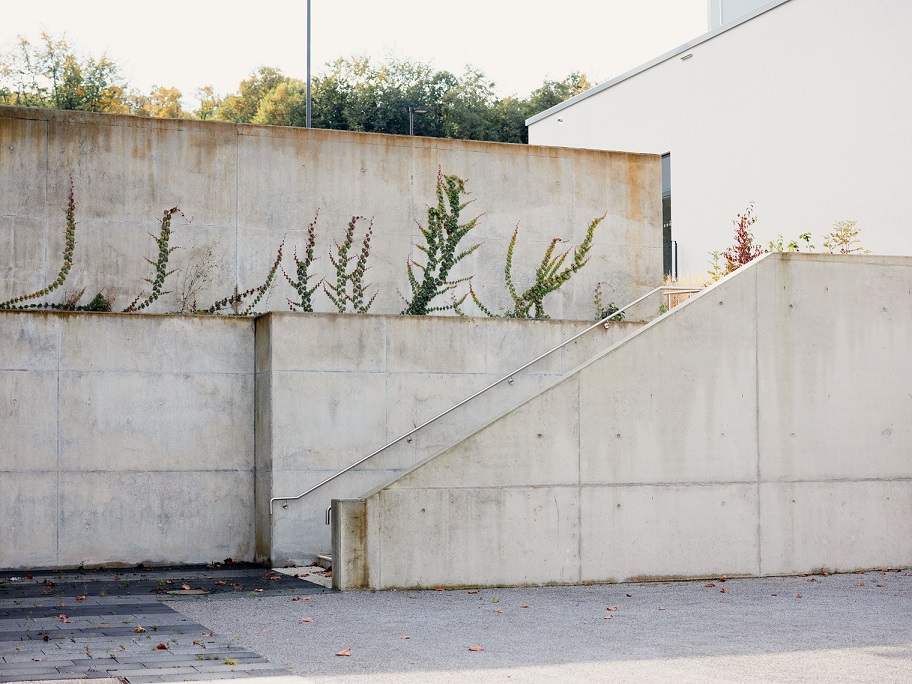 Betontreppe mit Pflanzen