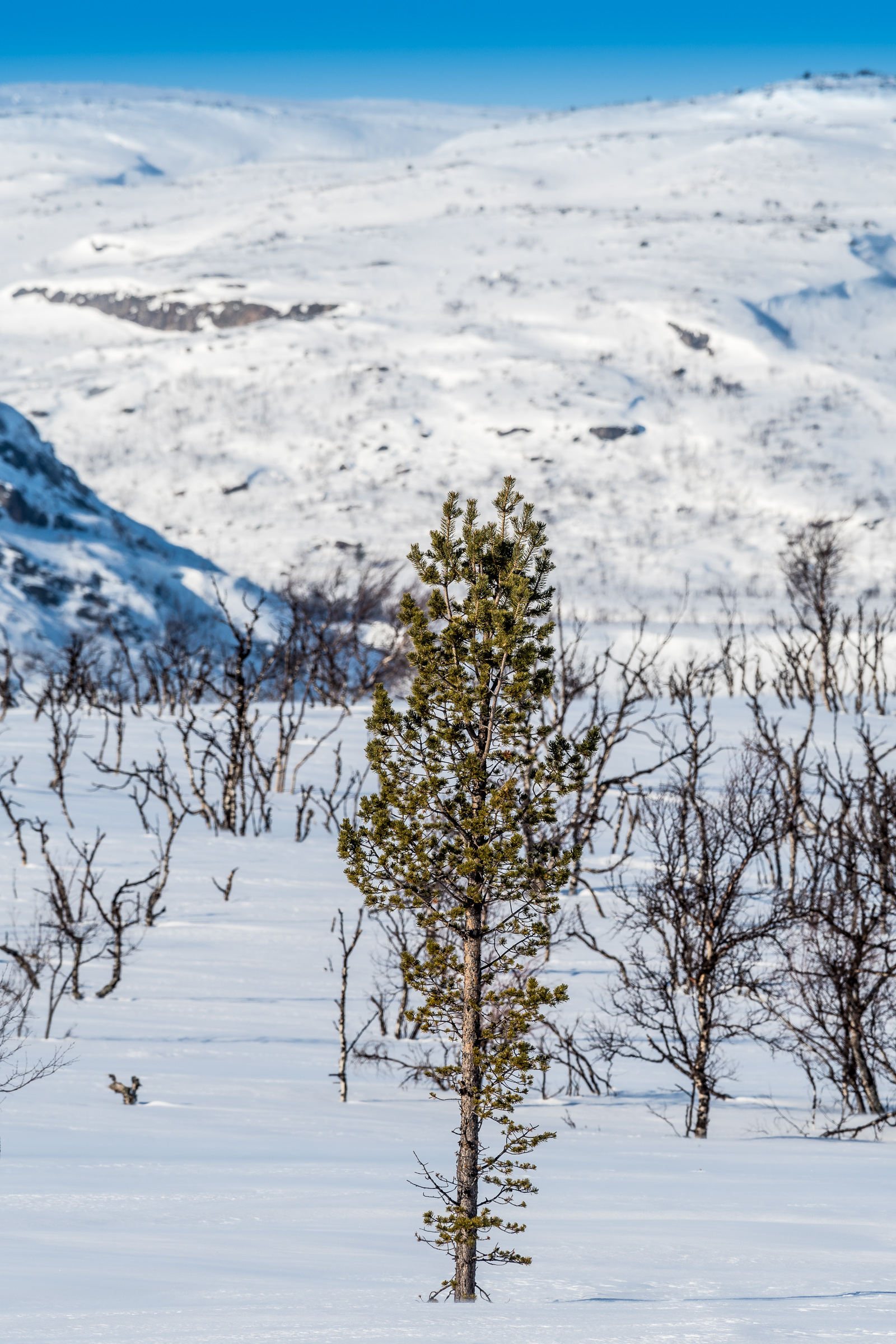 Varanger