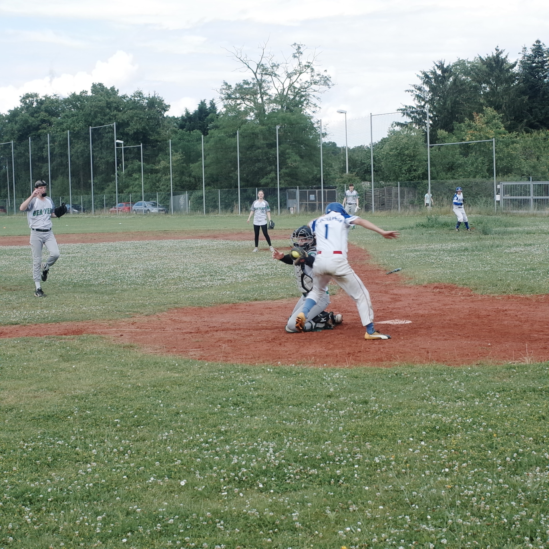 der Catcher der Beavers tagged einen gegnerischen Läufer an der Homeplate