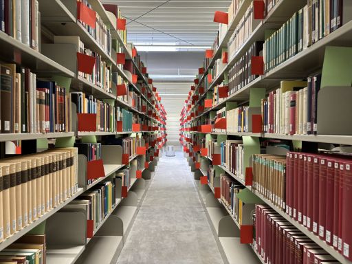 Bücherregale mit Büchern im IUB