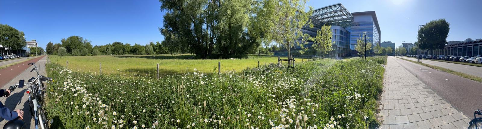 Blick über den Campus mit Wildwiesen und Fahrradwegen