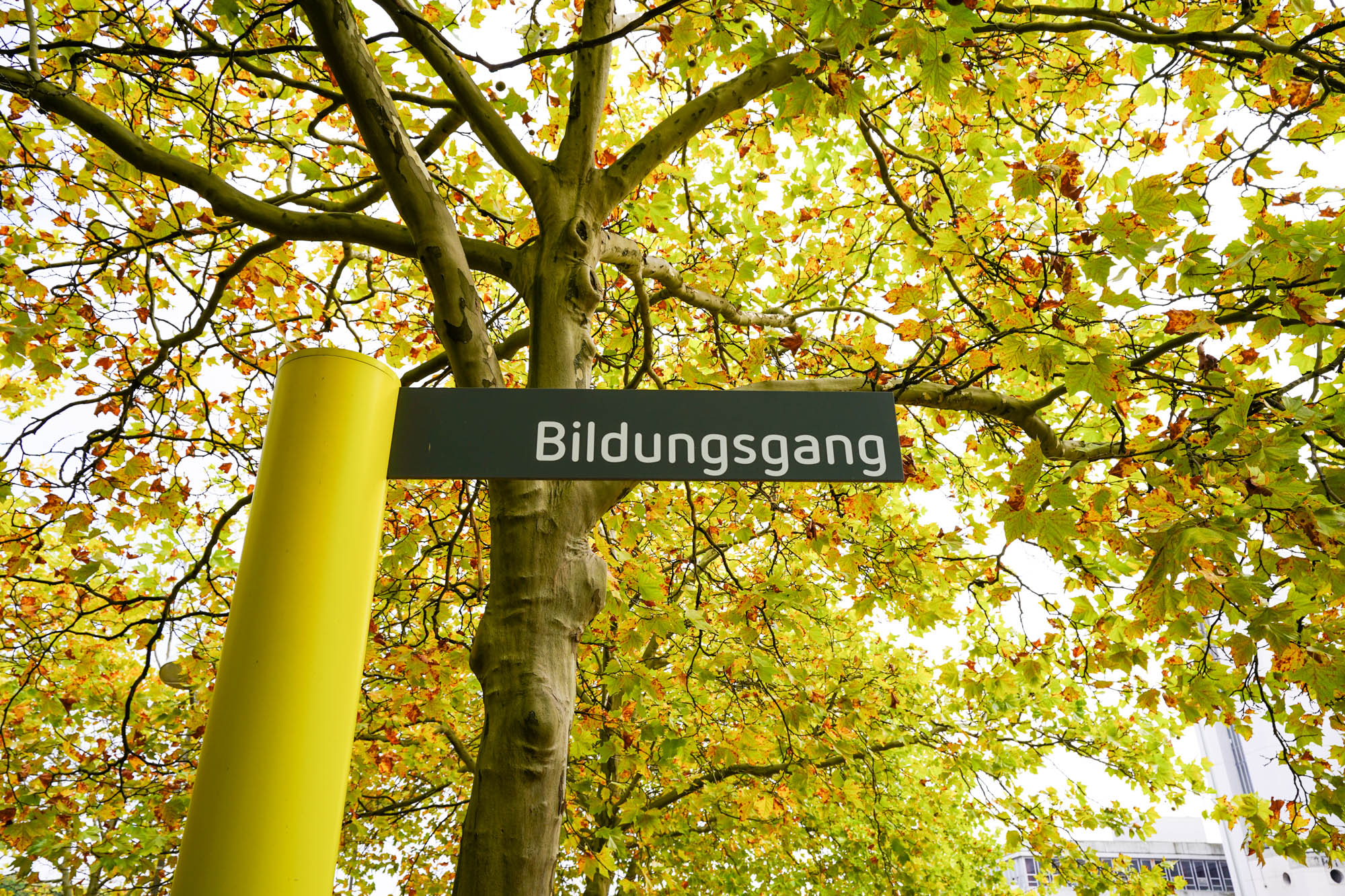 Ein Straßenschild vor der Universität Bielefeld mit dem Namen 'Bildungsgang'