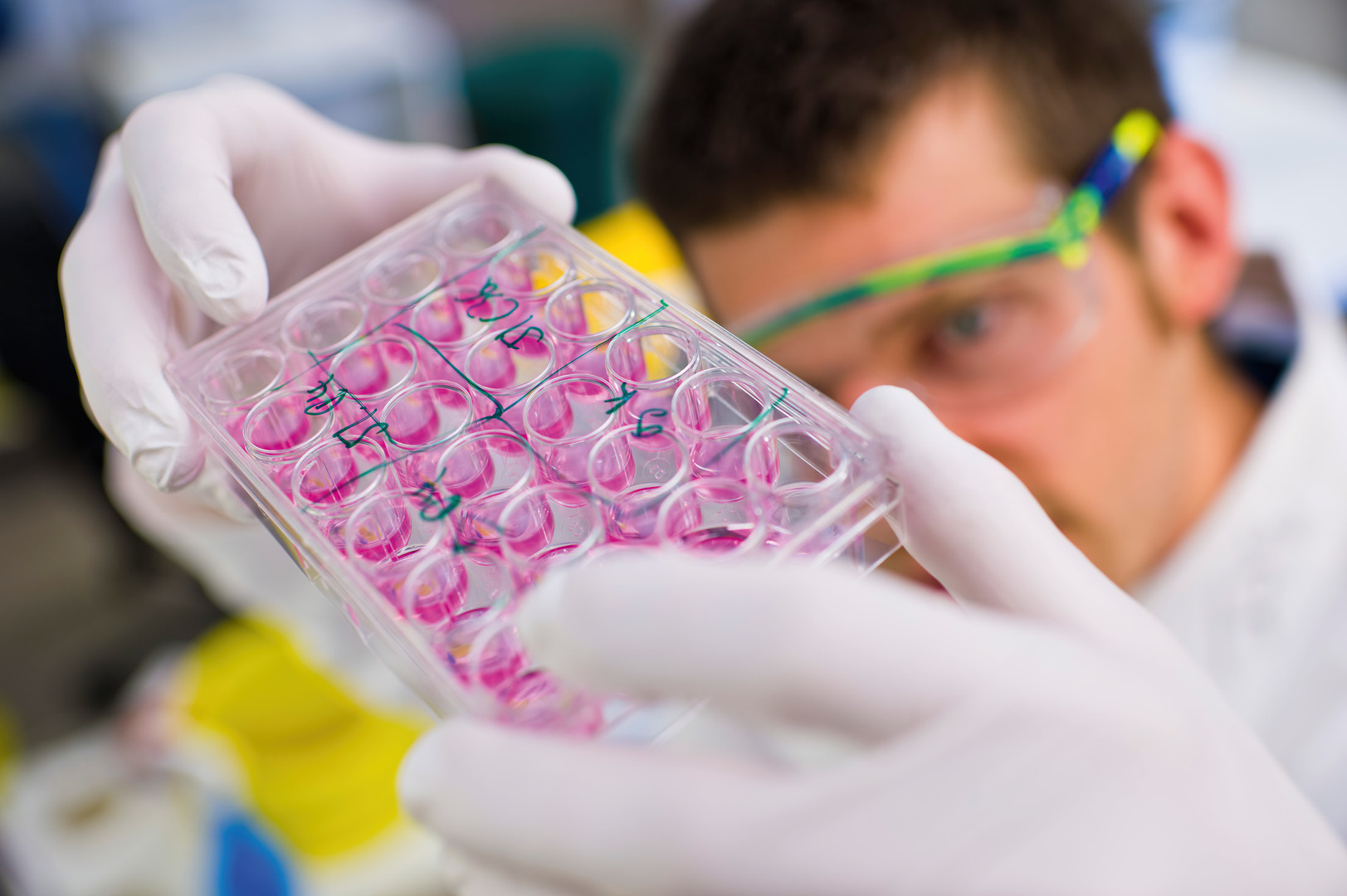 Ein Biochemiestudent schaut sich seine violetten Proben an.