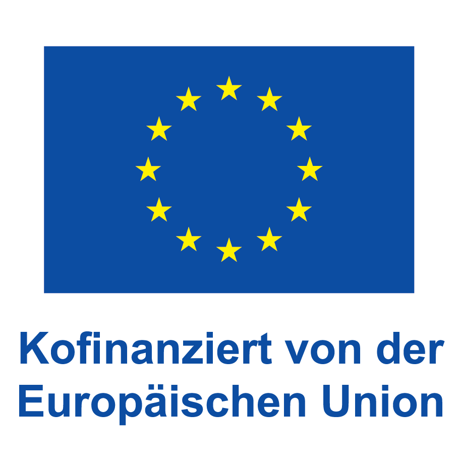 Logo Eu