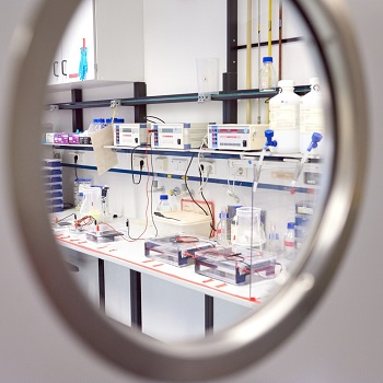 View of a laboratory through a window in the door