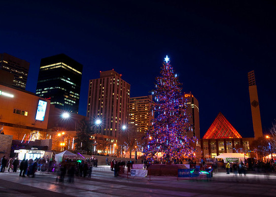 Christmas tree in Edmonton