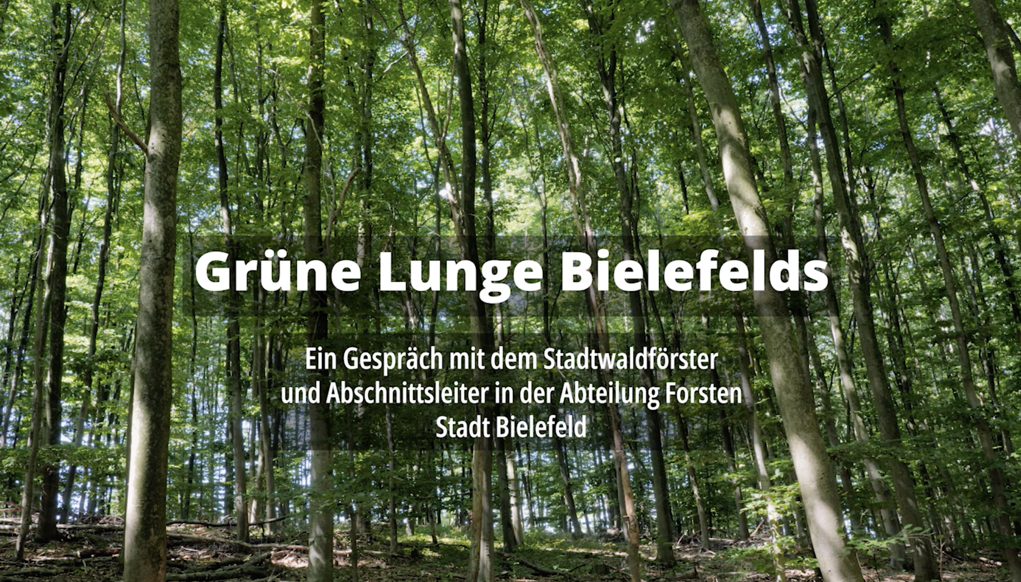 Standbild aus dem Video, Intro Bild, Wald mit Schriftzug "Gründe Lunge Bielefeld"