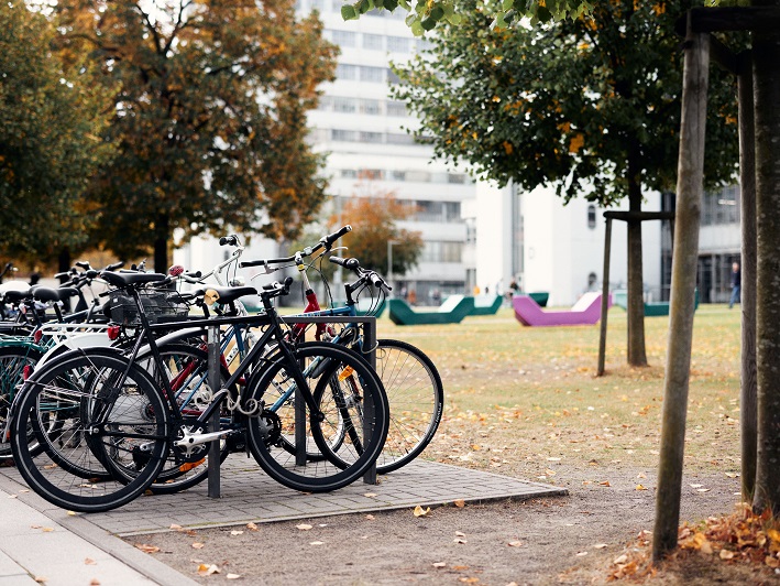 Volle Fahrradständer vor der Universität