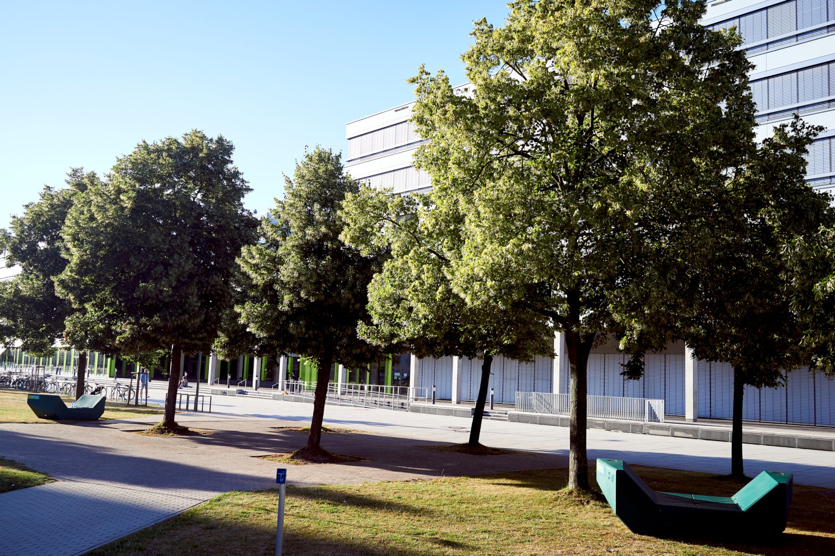 Bäume vor dem X-Gebäude der Universität